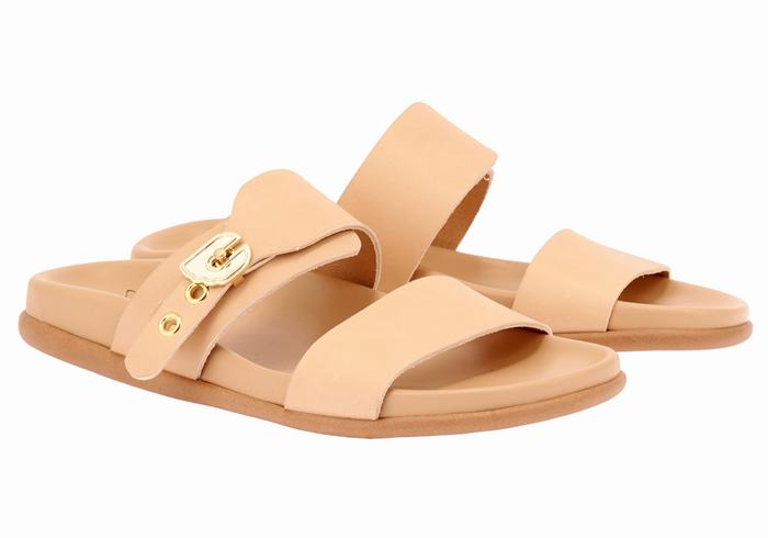 Beige Ancient Greek Sandals Latria Women Slide Sandals | AWN7446BP