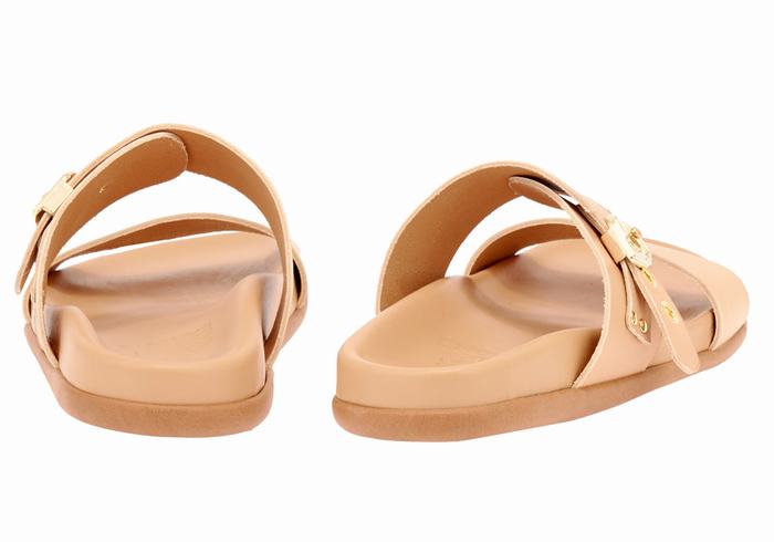 Beige Ancient Greek Sandals Latria Women Slide Sandals | AWN7446BP