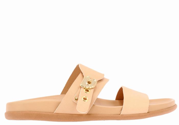 Beige Ancient Greek Sandals Latria Women Slide Sandals | AWN7446BP