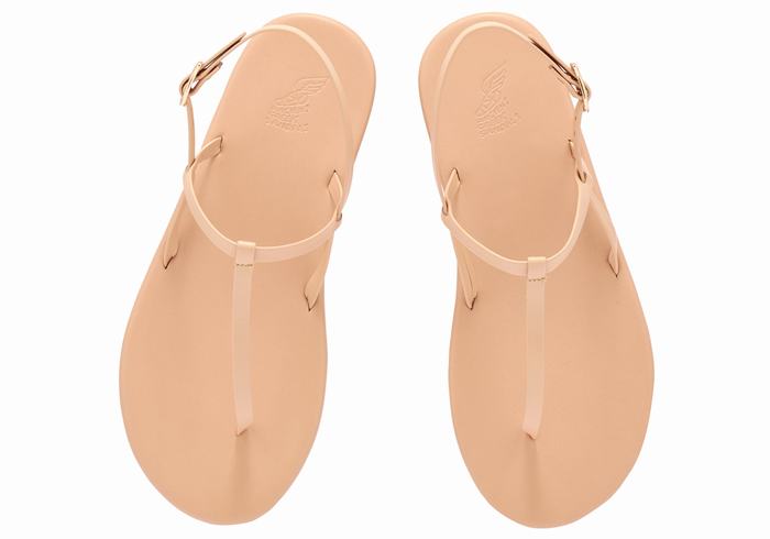 Beige Ancient Greek Sandals Lito Flip Flop Women Back-Strap Sandals | IVV9782LZ