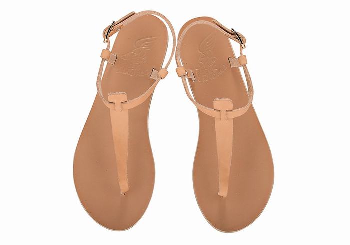 Beige Ancient Greek Sandals Lito Flip Flop Leather Women Back-Strap Sandals | IWN6273CG