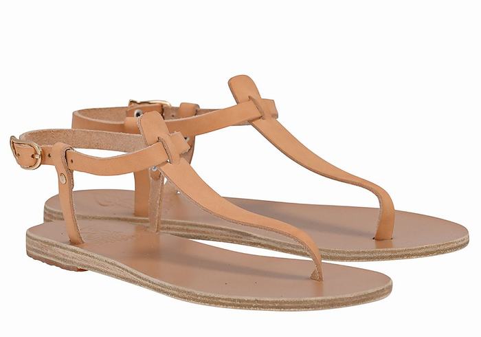 Beige Ancient Greek Sandals Lito Flip Flop Leather Women Back-Strap Sandals | IWN6273CG