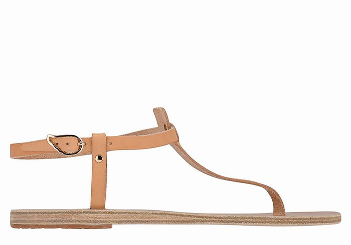 Beige Ancient Greek Sandals Lito Flip Flop Leather Women Back-Strap Sandals | IWN6273CG