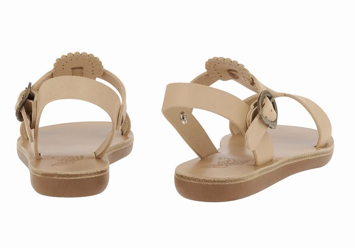 Beige Ancient Greek Sandals Little Amber Soft Kids' Flat Sandals | XTN4639HG