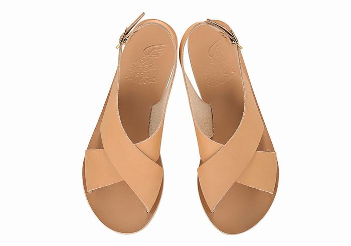 Beige Ancient Greek Sandals Maria Leather Women Casual Sandals | NPQ8715VB