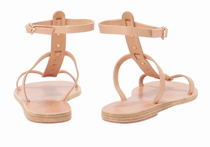 Beige Ancient Greek Sandals Meliti Bee Women Ankle Strap Sandals | THX8519NT