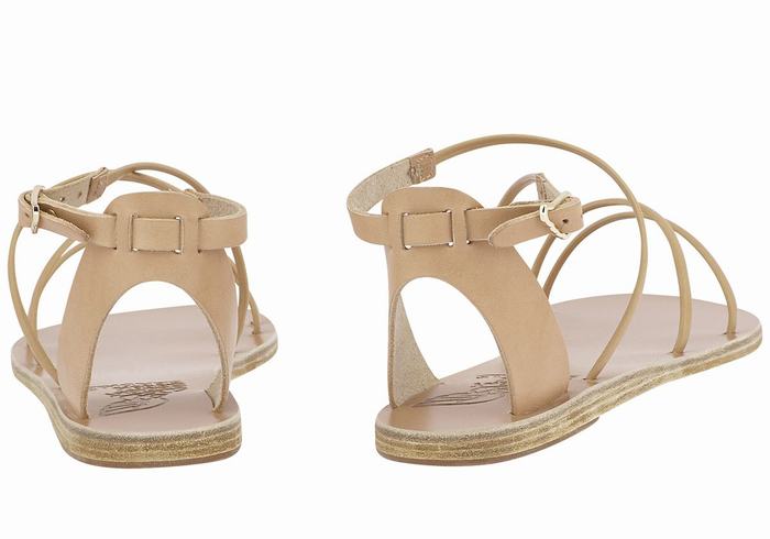 Beige Ancient Greek Sandals Meloivia Women Ankle Strap Sandals | ZYN9273BP