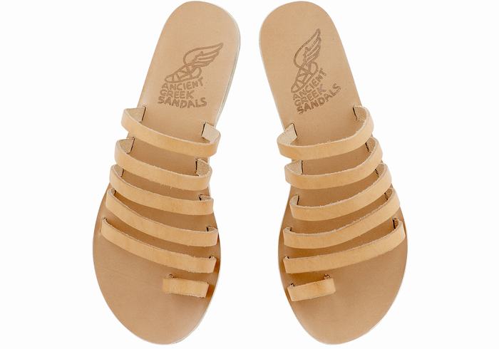 Beige Ancient Greek Sandals Niki Leather Women Toe-Post Sandals | YFT7211CY