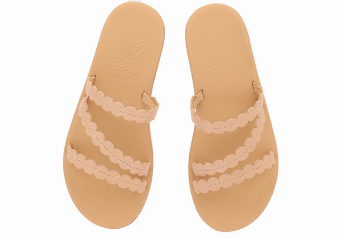 Beige Ancient Greek Sandals Oceanis Women Slide Sandals | BHC1932FL