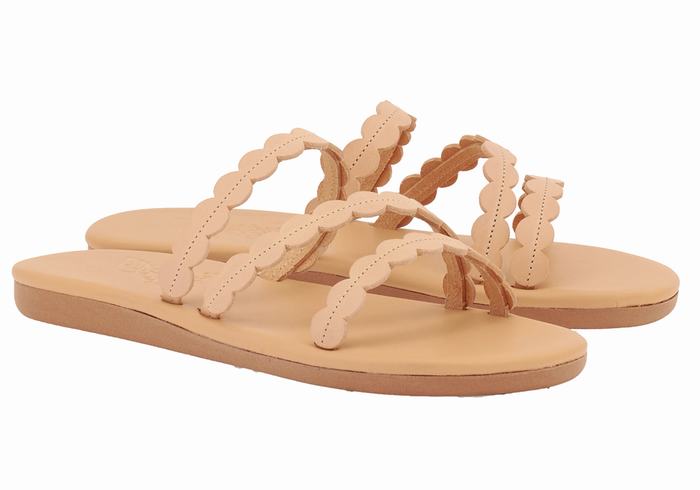 Beige Ancient Greek Sandals Oceanis Women Slide Sandals | BHC1932FL