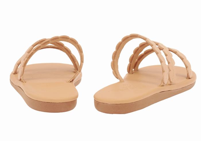 Beige Ancient Greek Sandals Oceanis Women Slide Sandals | BHC1932FL