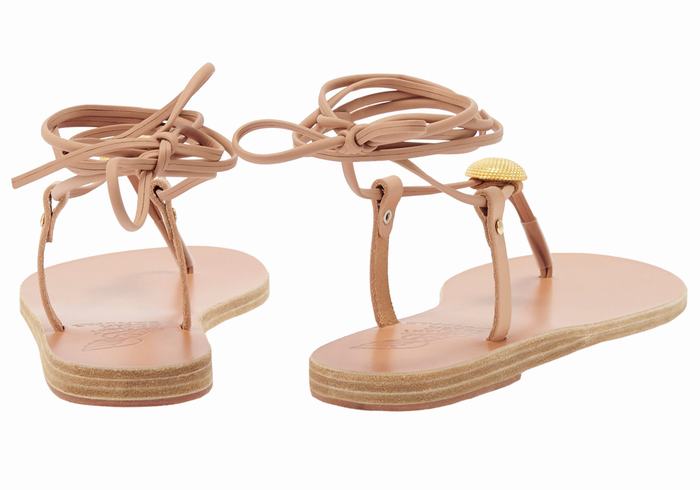 Beige Ancient Greek Sandals Persephone Women Gladiator Sandals | KOI6472RH