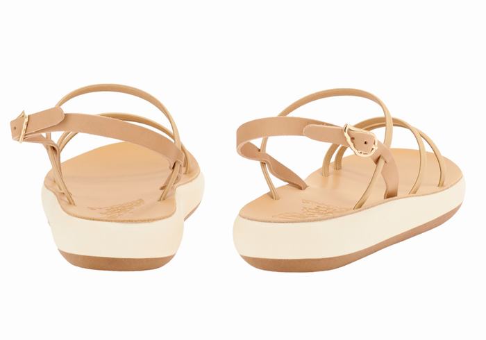 Beige Ancient Greek Sandals Polis Women Back-Strap Sandals | ZLS3787PP