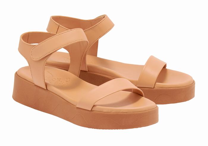 Beige Ancient Greek Sandals Salamina Leather Women Platform Sandals | TGF9447LX