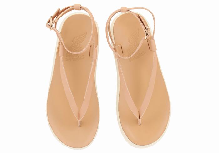 Beige Ancient Greek Sandals Salomi Comfort Women Ankle Strap Sandals | CKT8196VE