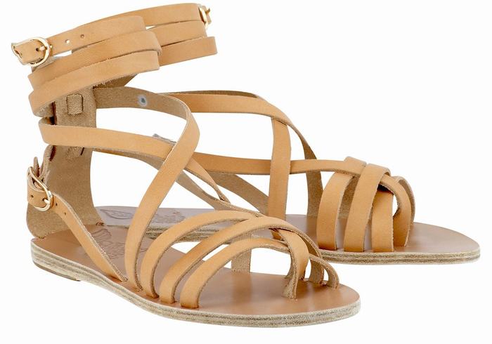 Beige Ancient Greek Sandals Satira Leather Women Gladiator Sandals | CRT4259RA