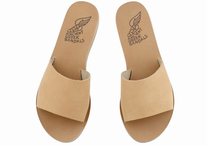 Beige Ancient Greek Sandals Taygete Women Slide Sandals | DVI8645UX