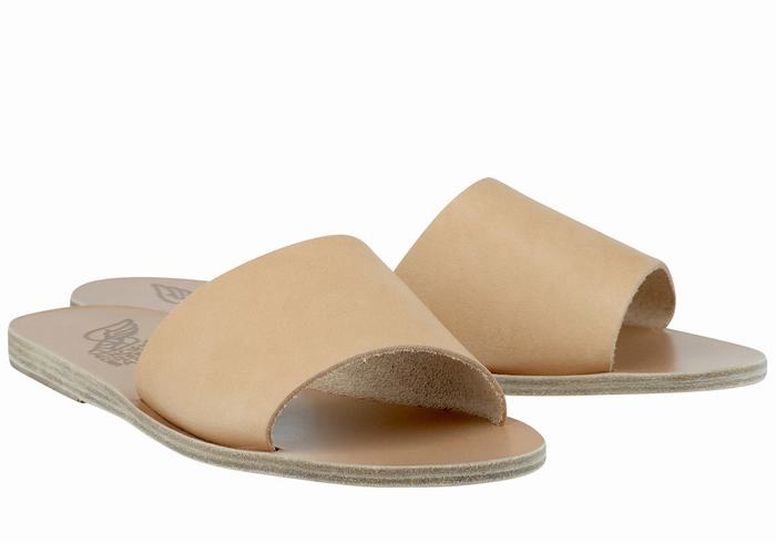 Beige Ancient Greek Sandals Taygete Women Slide Sandals | DVI8645UX