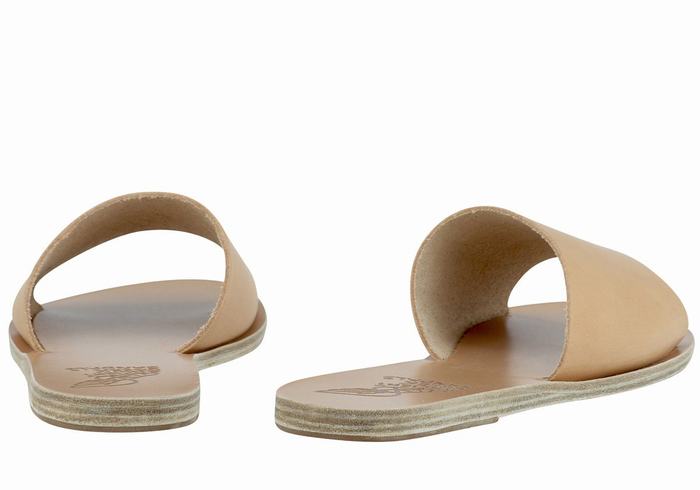 Beige Ancient Greek Sandals Taygete Women Slide Sandals | DVI8645UX