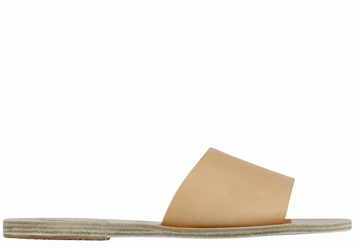 Beige Ancient Greek Sandals Taygete Women Slide Sandals | DVI8645UX