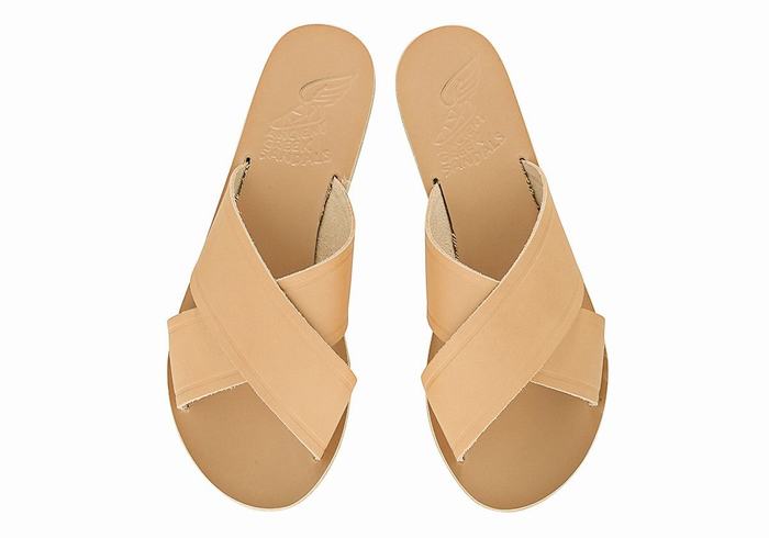 Beige Ancient Greek Sandals Thais Women Slide Sandals | JPY8654ZN