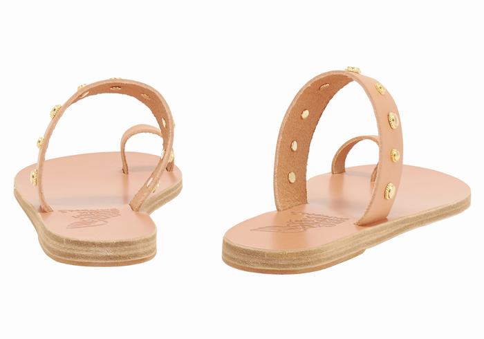 Beige Ancient Greek Sandals Thalia Bee Women Toe-Post Sandals | OOZ8541AM