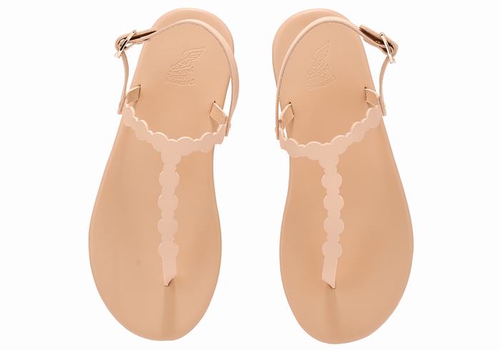 Beige Ancient Greek Sandals Velos Flip Flop Women Back-Strap Sandals | VAT7766QV