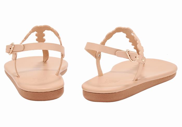 Beige Ancient Greek Sandals Velos Flip Flop Women Back-Strap Sandals | VAT7766QV