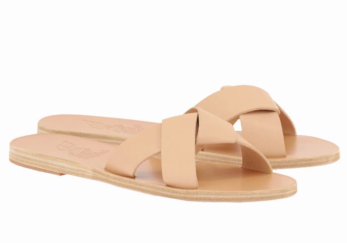 Beige Ancient Greek Sandals Whitney Women Slide Sandals | INH2988AR