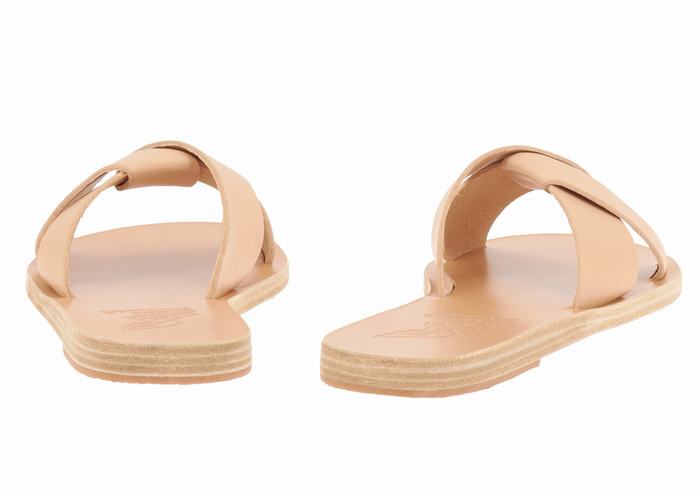 Beige Ancient Greek Sandals Whitney Women Slide Sandals | INH2988AR