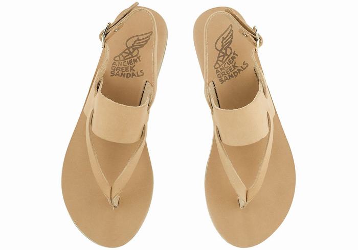 Beige Ancient Greek Sandals Zoe Flip Flop Leather Women Back-Strap Sandals | IAE236TB