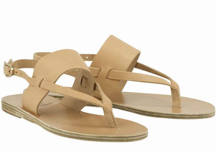 Beige Ancient Greek Sandals Zoe Flip Flop Leather Women Back-Strap Sandals | IAE236TB