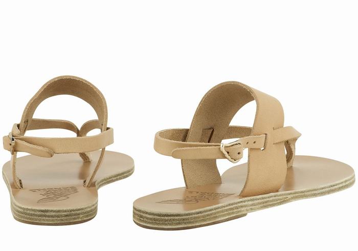 Beige Ancient Greek Sandals Zoe Flip Flop Leather Women Back-Strap Sandals | IAE236TB