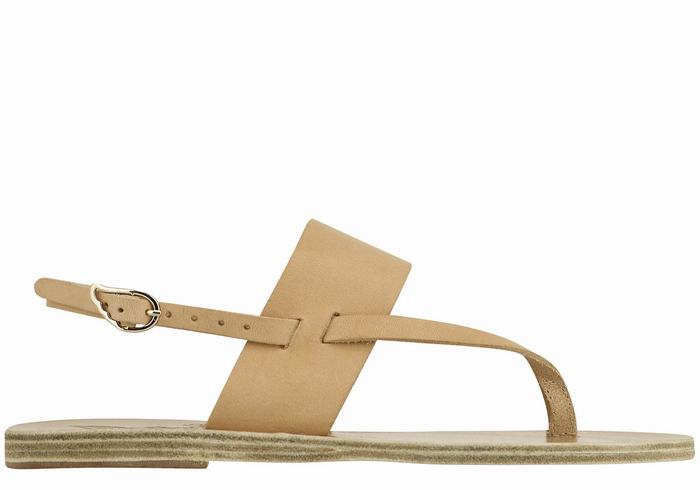 Beige Ancient Greek Sandals Zoe Flip Flop Leather Women Back-Strap Sandals | IAE236TB