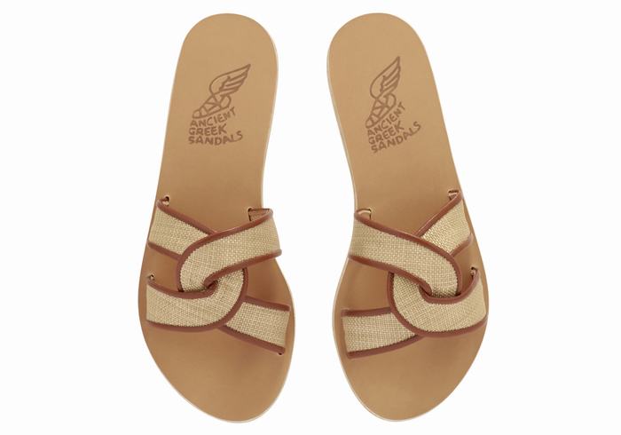 Beige Brown Ancient Greek Sandals Desmos Women Slide Sandals | ZVV2621RX