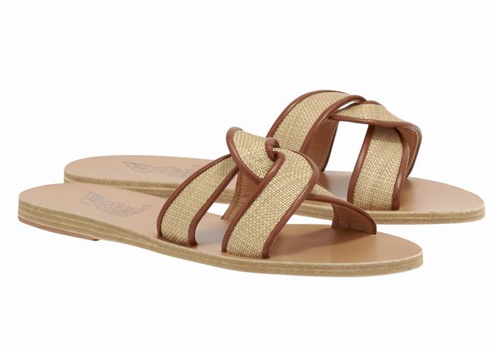 Beige Brown Ancient Greek Sandals Desmos Women Slide Sandals | ZVV2621RX