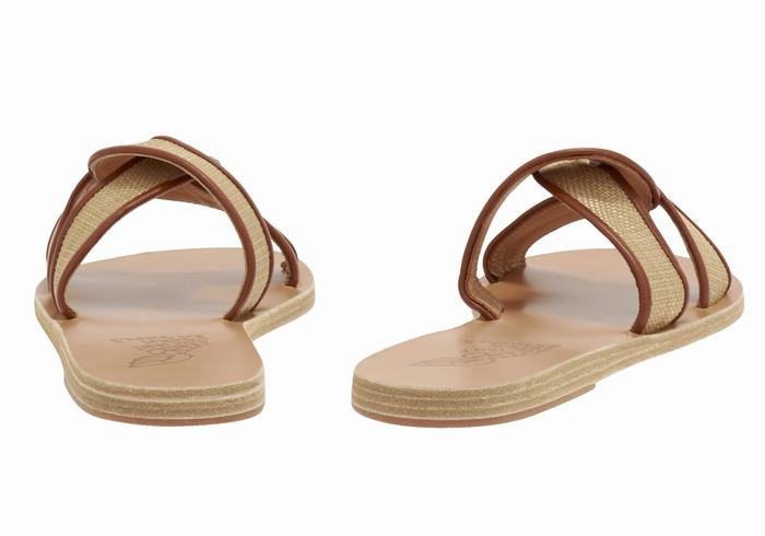 Beige Brown Ancient Greek Sandals Desmos Women Slide Sandals | ZVV2621RX