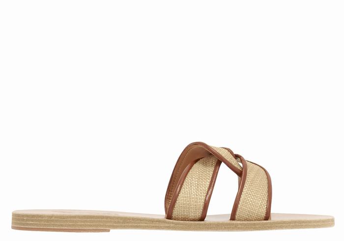 Beige Brown Ancient Greek Sandals Desmos Women Slide Sandals | ZVV2621RX