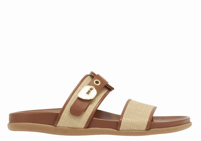 Beige Brown Ancient Greek Sandals Latria Women Slide Sandals | NAG843CA