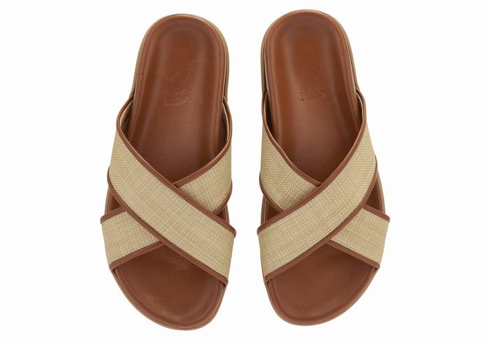 Beige Brown Ancient Greek Sandals Thais Footbed Women Slide Sandals | VVA496FG