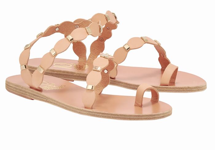 Beige Gold Ancient Greek Sandals Dauxerre Women Toe-Post Sandals | WIG8893UM