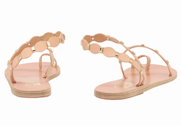 Beige Gold Ancient Greek Sandals Dauxerre Women Toe-Post Sandals | WIG8893UM