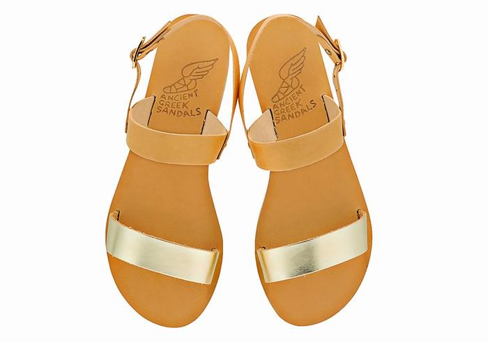 Beige Gold White Ancient Greek Sandals Clio Women Back-Strap Sandals | YKZ3932NV