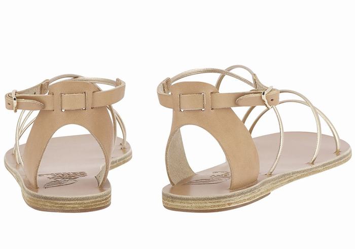 Beige Gold White Ancient Greek Sandals Meloivia Women Ankle Strap Sandals | MFC4518HG