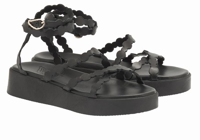 Black Ancient Greek Sandals Aspis Leather Women Platform Sandals | VLN7478VY