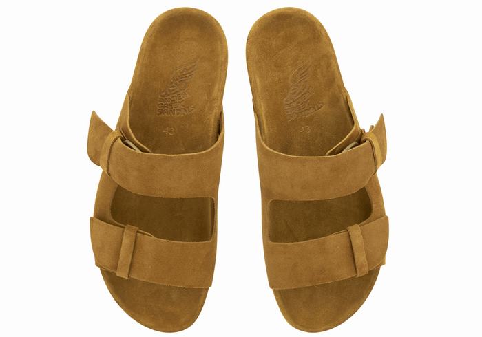 Brown Ancient Greek Sandals Diogenis Men Slippers | TPZ7221DV