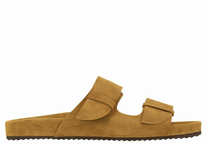 Brown Ancient Greek Sandals Diogenis Men Slippers | TPZ7221DV