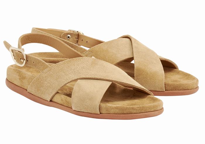 Brown Ancient Greek Sandals Ikesia Women Casual Sandals | TLU5032SC