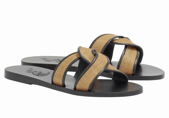 Brown Black Ancient Greek Sandals Desmos Women Slide Sandals | BCZ6028YD