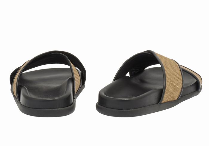 Brown Black Ancient Greek Sandals Thais Footbed Women Slide Sandals | TAJ7269LI